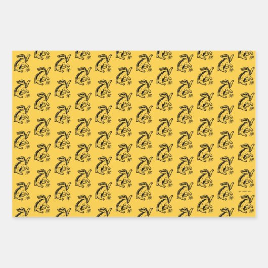 Harry Potter | Pictogram Hufflepuff-badger Inpakpapier Vel (Voorkant 3)