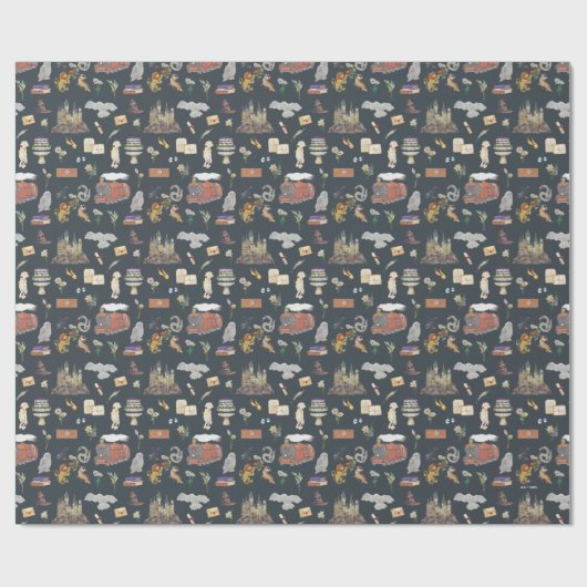 HARRY POTTER™ | Pictogrampatroon Cadeaupapier (Vlak)