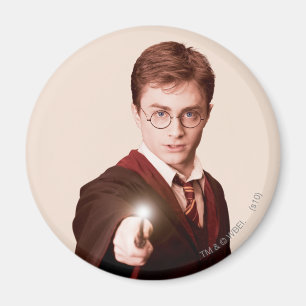 Harry Potter Points Wand Magneet