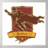 Harry Potter | QUIDDITCH™ Zoeker Wapen Poster (Voorkant)