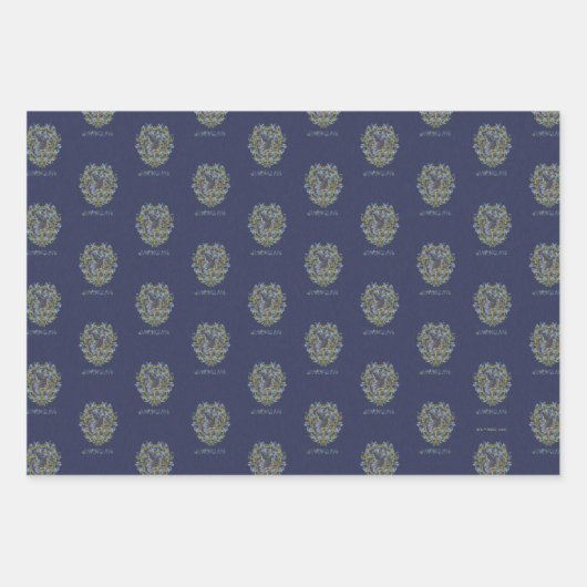 HARRY POTTER™ | RAVENCLAW™ Crest Inpakpapier Vel (Voorkant 3)