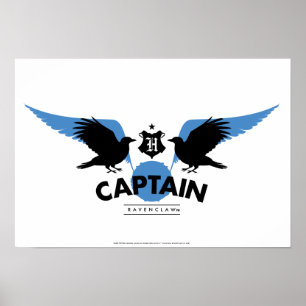 Harry Potter   RAVENCLAW™ House Quidditch Kapitein Poster