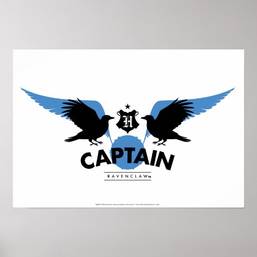 Harry Potter | RAVENCLAW™ House Quidditch Kapitein Poster (Voorkant)