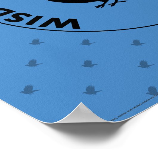 Harry Potter | RAVENCLAW™ House Traits Graphic Poster (Hoek)