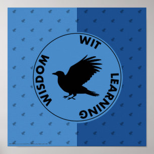 Harry Potter   RAVENCLAW™ Huis Eigenschappen Grafi Poster