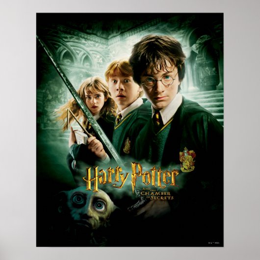 Harry Potter Ron Hermione Dobby Groepsfoto Poster (Voorkant)