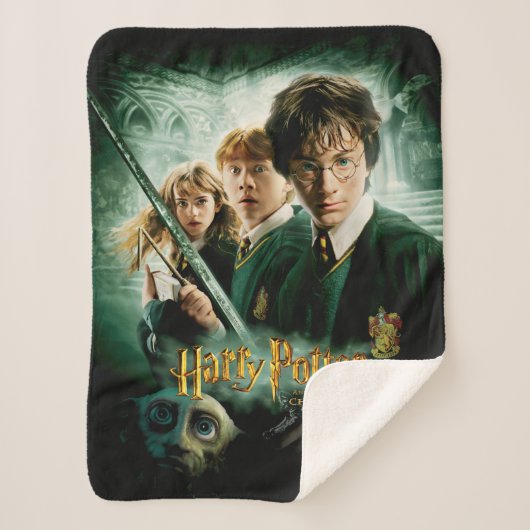 Harry Potter Ron Hermione Dobby Groepsfoto Sherpa Deken (Voorkant)