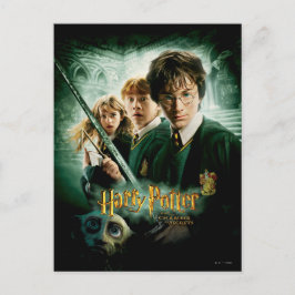 Harry Potter Ron Hermione Dobby Group Shot Briefkaart