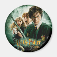 Harry Potter Ron Hermione Dobby Group Shot