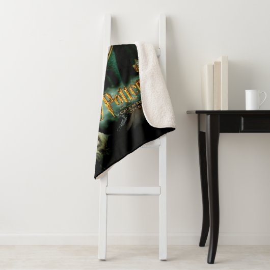 Harry Potter Ron Hermione Dobby Group Shot Sherpa Deken (In situ)