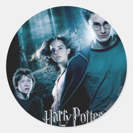 Harry Potter Ron Hermione In Bos Ronde Sticker (Voorkant)