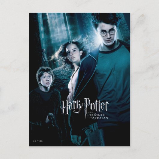 Harry Potter Ron Hermione in Forest Briefkaart (Voorkant)