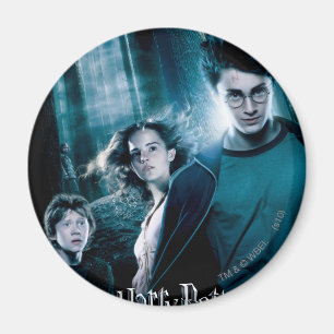 Harry Potter Ron Hermione in Forest Magneet