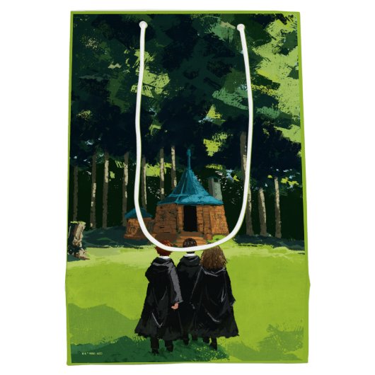 HARRY POTTER™, Ron & Hermione in Hagrid's Hut Medium Cadeauzakje (Achterkant)