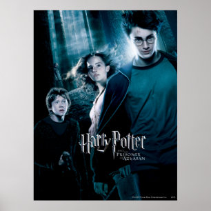 Harry Potter Ron Hermione in het bos Poster