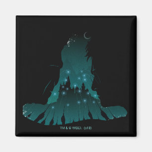 Harry Potter Slag op het Pet van de Tovenaar Hog Magneet