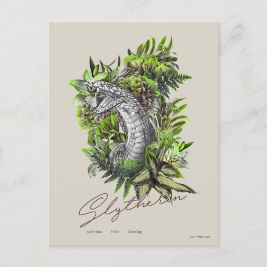 HARRY POTTER™ SLYTHERIN™ BRIEFKAART (Voorkant)