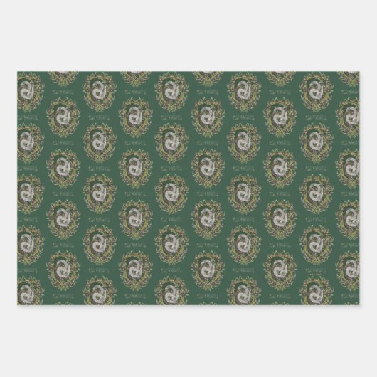 HARRY POTTER™ | SLYTHERIN™ Crest Inpakpapier Vel (Voorkant 3)
