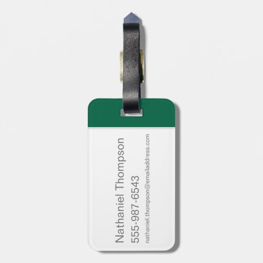 Harry Potter | SLYTHERIN™ House Quidditch Seeker Bagagelabel (Achterkant verticaal)