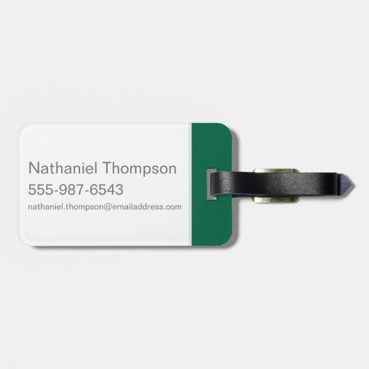 Harry Potter | SLYTHERIN™ House Quidditch Seeker Bagagelabel (Achterkant horizontaal)