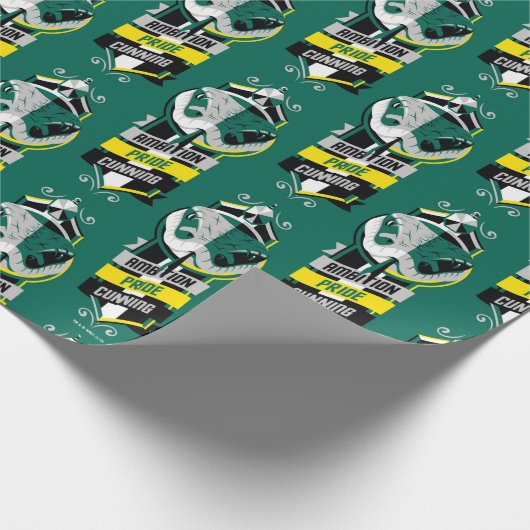Harry Potter | SLYTHERIN™ Huis Kenmerken Sigil Cadeaupapier (Hoek)