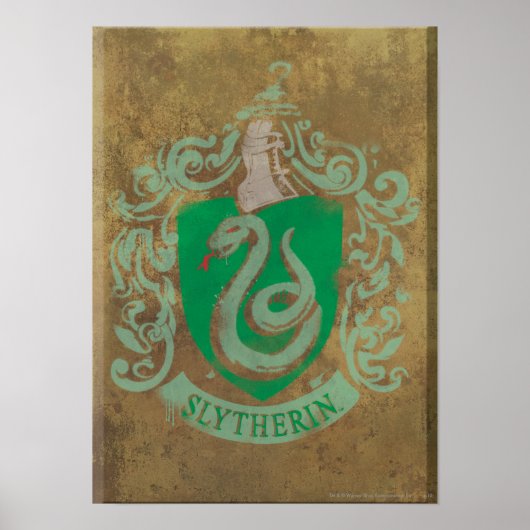 Harry Potter |  Slytherin Poster (Voorkant)