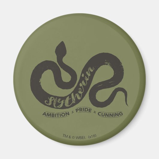 Harry Potter | SLYTHERIN™ Silhouet Typography Magneet (Voorkant)
