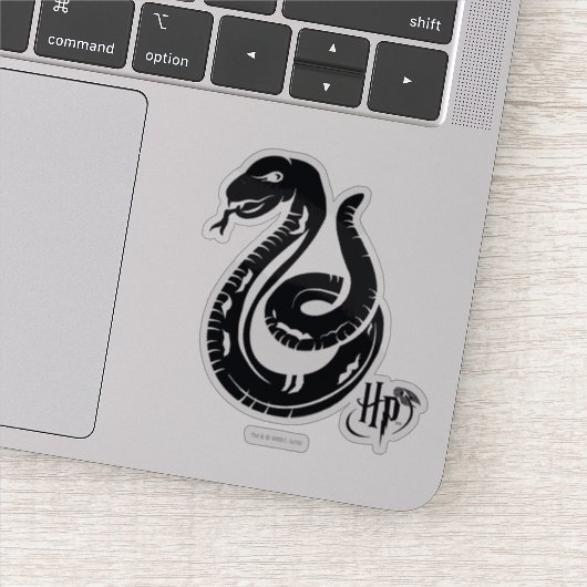 Harry Potter | Slytherin Slang Icon Sticker (Detail)