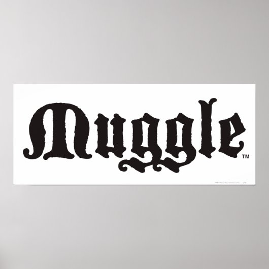 Harry Potter Spel| Mugle Poster (Voorkant)