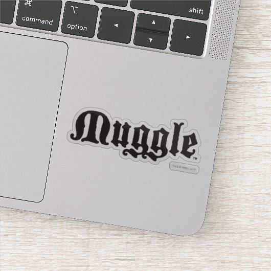 Harry Potter Spel| Mugle Sticker (Detail)