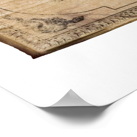 Harry Potter Spell | Bezoars Poster (Hoek)