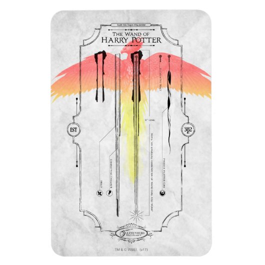 Harry Potter Spell | Harry's Wand Infographic Magneet (Verticaal)