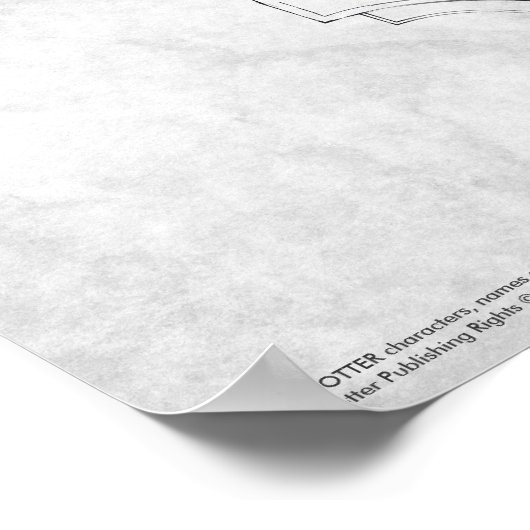 Harry Potter Spell | Harry's Wand Infographic Poster (Hoek)