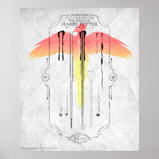 Harry Potter Spell | Harry's Wand Infographic Poster (Voorkant)
