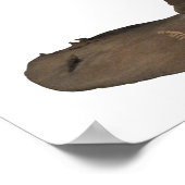 Harry Potter Spell | Sorterend Pet Poster (Hoek)