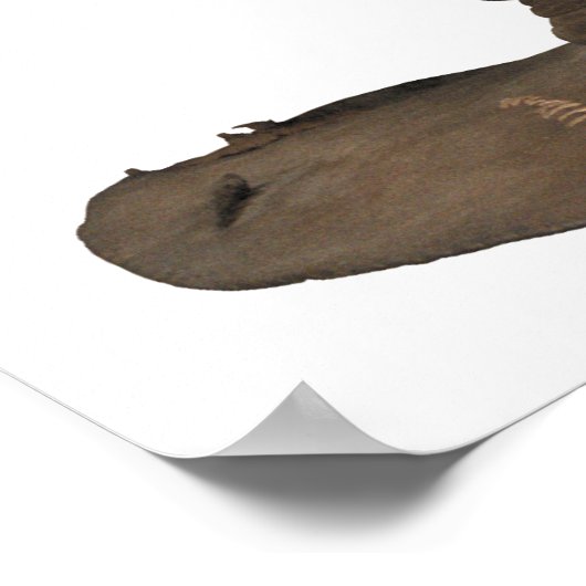 Harry Potter Spell | Sorterend Pet Poster (Hoek)