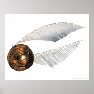 Harry Potter spreuk   Gouden Snaai Poster