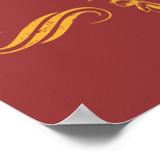 Harry Potter | Team QUIDDITCH™ Poster (Hoek)