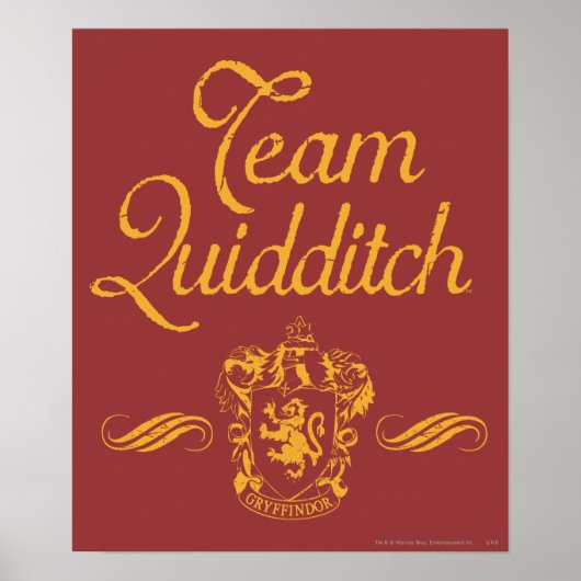 Harry Potter | Team QUIDDITCH™ Poster (Voorkant)