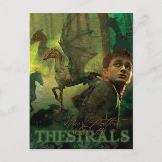 Harry Potter Thestrals Briefkaart (Voorkant)