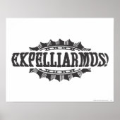 Harry Potter Tover | Expelliarmus! Poster (Voorkant)