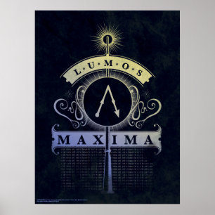 Harry Potter Tover   Lumos Maxima Grafisch Poster