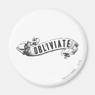 Harry Potter toverspreuk   Obliviate Magneet