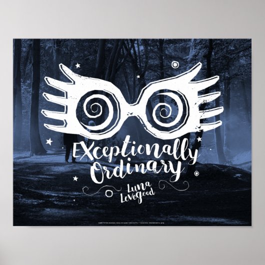 Harry Potter | uitzonderlijk gewoon Poster (Voorkant)