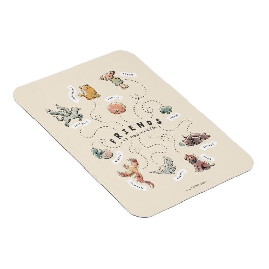 HARRY POTTER™ | Vrienden van Hogwarts Magneet (Rechterzijde)