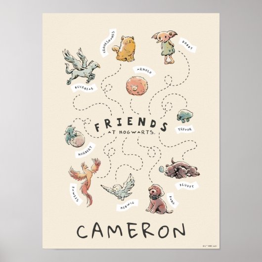 HARRY POTTER™ | Vrienden van Hogwarts Poster (Voorkant)