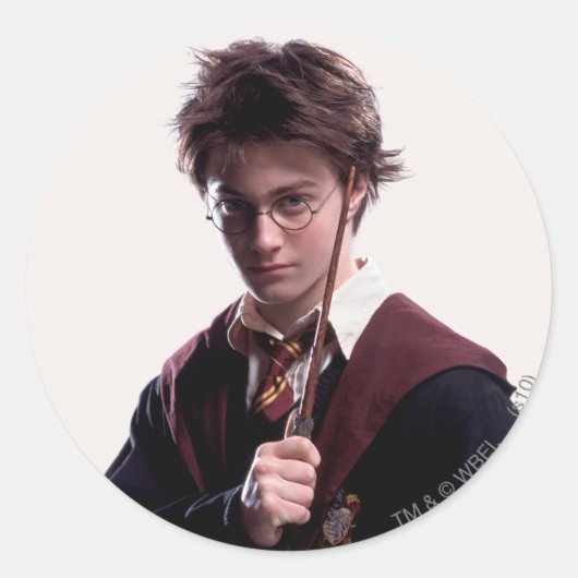 Harry Potter Wand Raised Ronde Sticker (Voorkant)