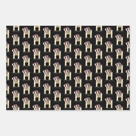 Harry Potter | Waterverf HUFFLEPUFF™-badger Inpakpapier Vel (Voorkant)