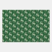 Harry Potter | Waterverf SLYTHERIN™-slang Inpakpapier Vel (Voorkant 3)