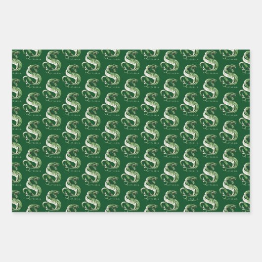 Harry Potter | Waterverf SLYTHERIN™-slang Inpakpapier Vel (Voorkant)